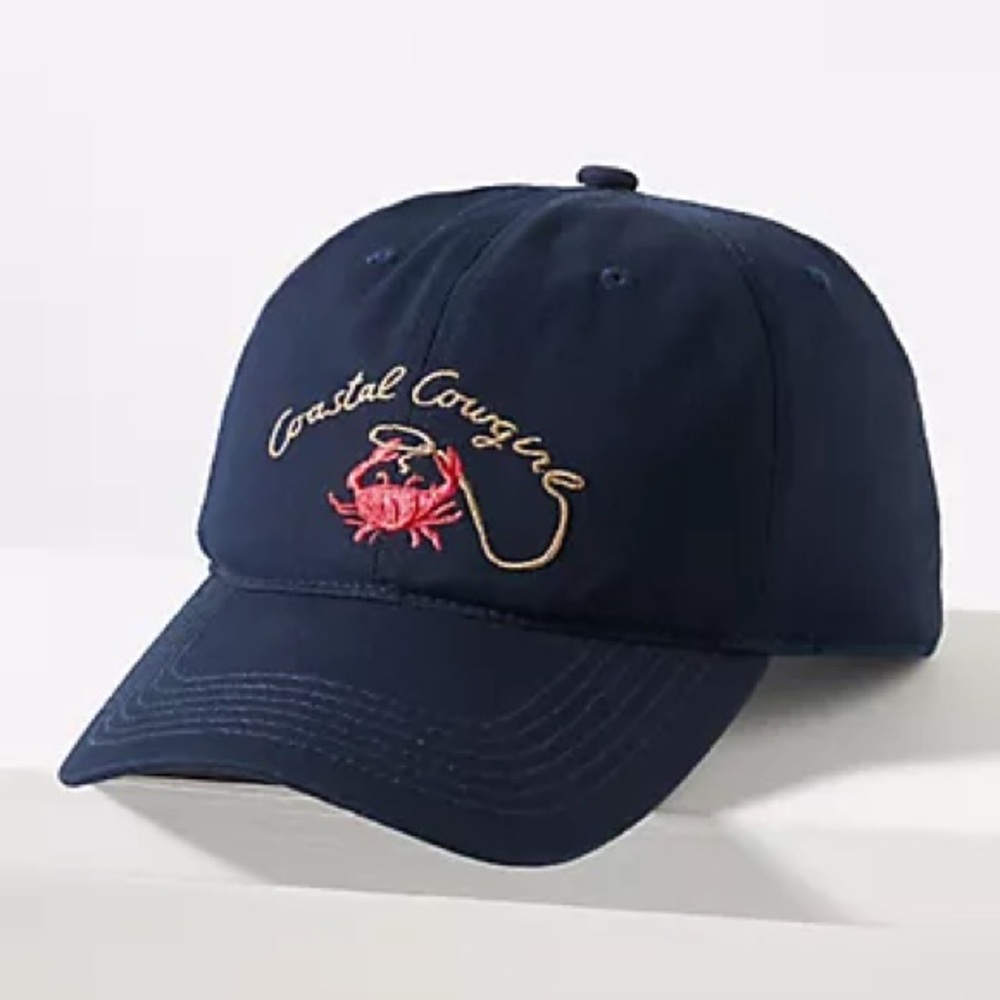 ISO: Anthropologie Summer Icon Baseball Cap